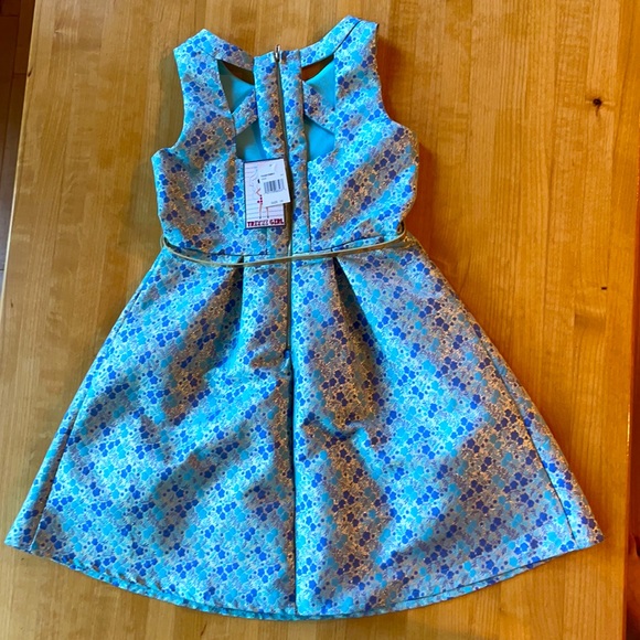 Big Girls Dress, Size 14 - Picture 2 of 3